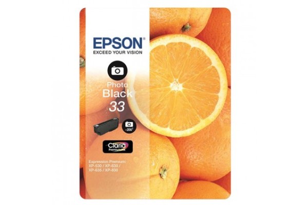 Epson Branded T3341 Photo Black Ink Cartridge.